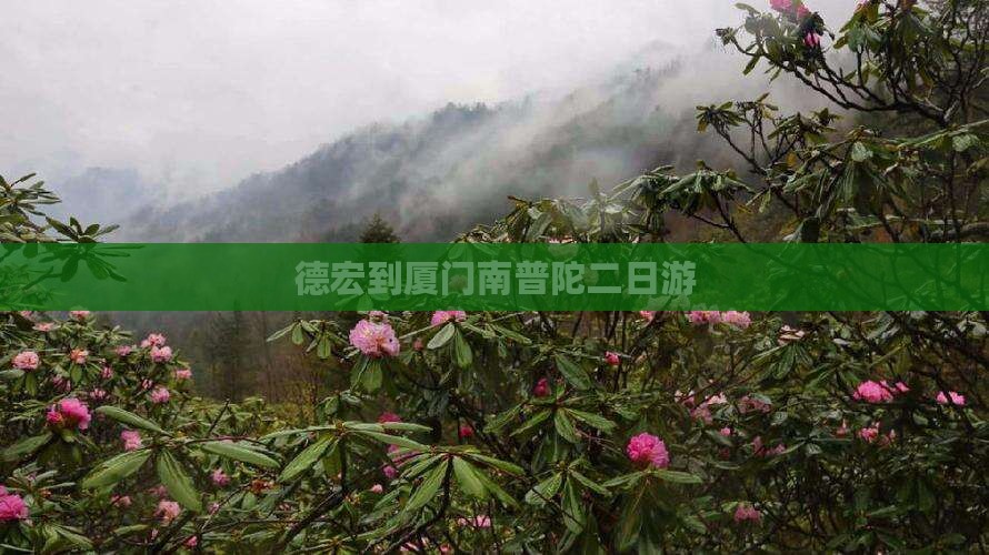 德宏到厦门南普陀二日游