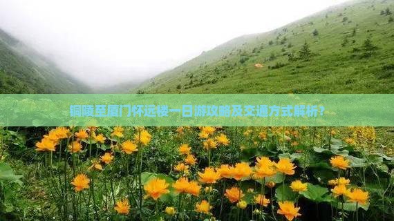 铜陵至厦门怀远楼一日游攻略及交通方式解析？