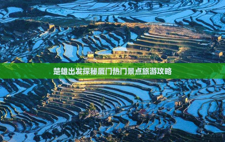 楚雄出发探秘厦门热门景点旅游攻略