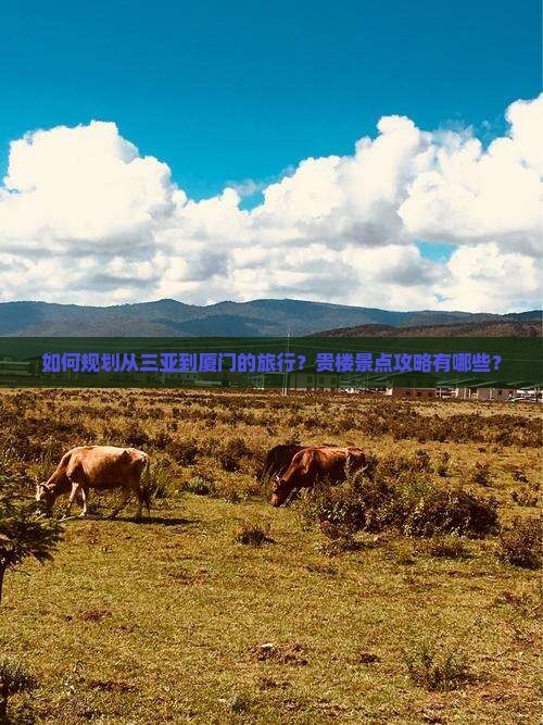 如何规划从三亚到厦门的旅行？贵楼景点攻略有哪些？