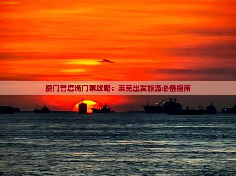 厦门曾厝埯门票攻略：莱芜出发旅游必备指南