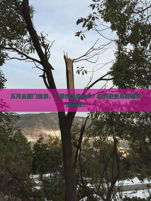 五月去厦门旅游，门票价格是多少？如何避免高峰期票价痛点？