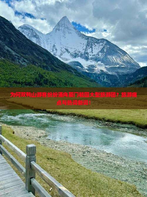 为何双鸭山游客纷纷涌向厦门毓园大型旅游团？旅游痛点与热词新词！