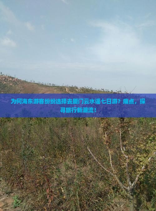 为何海东游客纷纷选择去厦门云水谣七日游？痛点，探寻旅行新潮流！