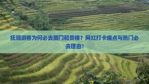 抚顺游客为何必去厦门和贵楼？网红打卡痛点与热门必去理由！