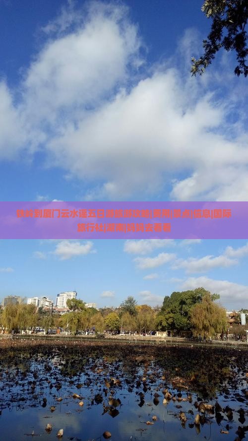 铁岭到厦门云水谣五日游旅游攻略|费用|景点|信息|国际旅行社|湖南|妈妈去看看