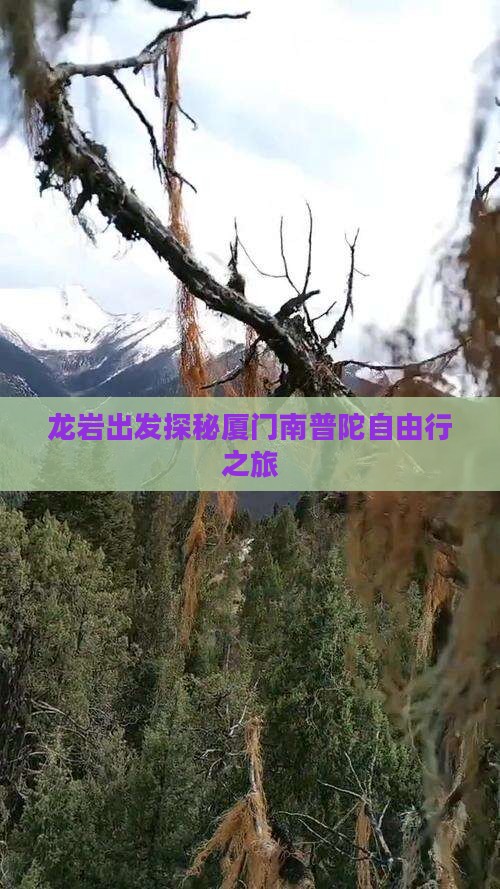 龙岩出发探秘厦门南普陀自由行之旅