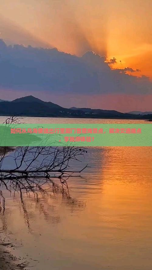 如何从乌海便捷出行至厦门曾厝埯景点，解决交通痛点，享施游体验？