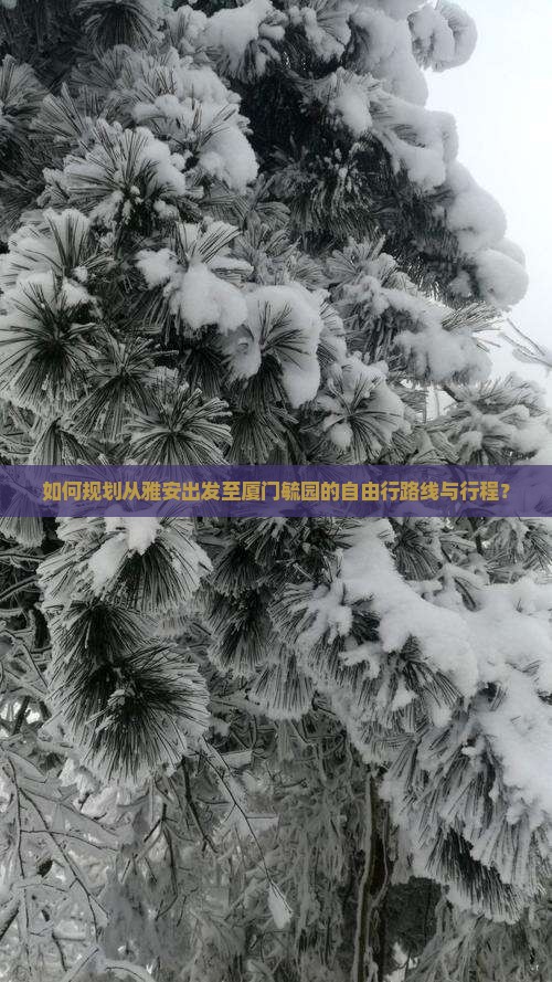如何规划从雅安出发至厦门毓园的自由行路线与行程？