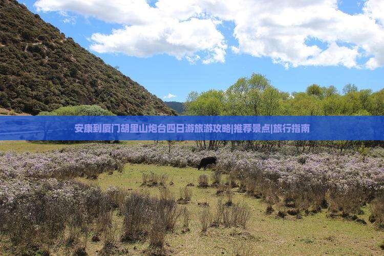 安康到厦门胡里山炮台四日游旅游攻略|推荐景点|旅行指南