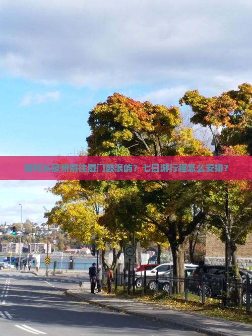 如何从泉州前往厦门鼓浪屿？七日游行程怎么安排？