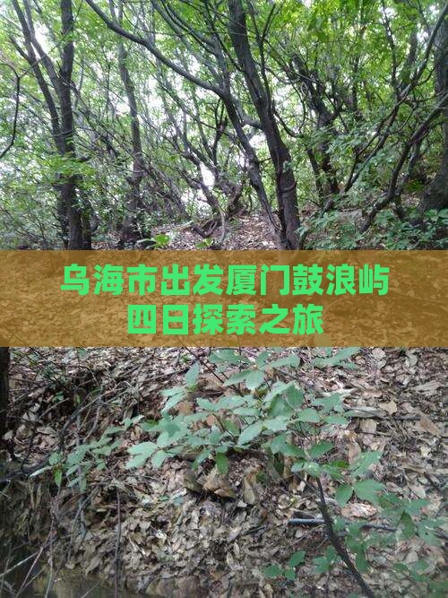乌海市出发厦门鼓浪屿四日探索之旅