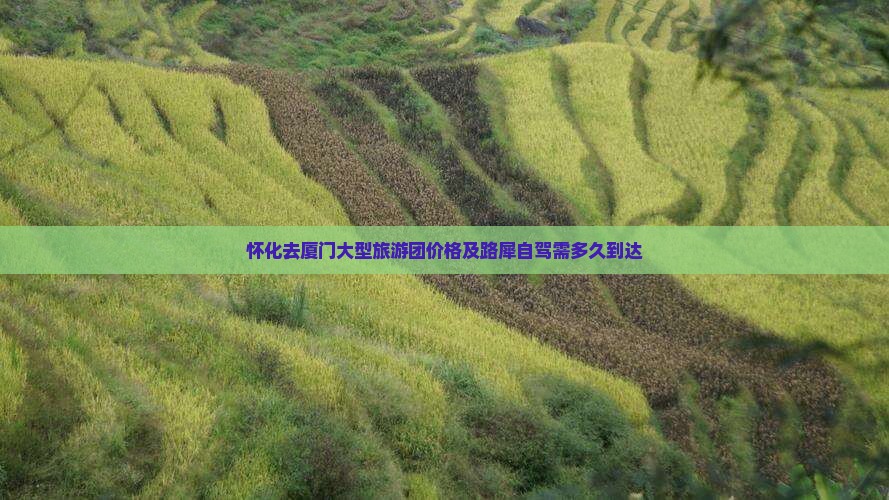 怀化去厦门大型旅游团价格及路犀自驾需多久到达