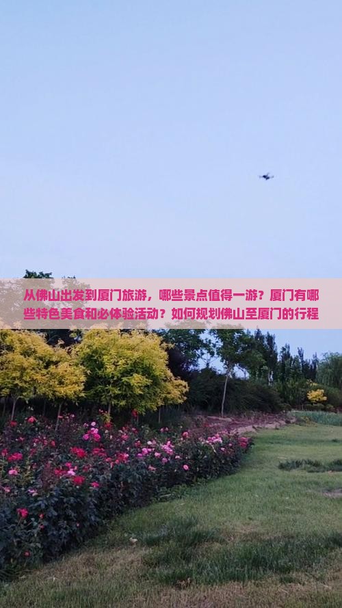 从佛山出发到厦门旅游，哪些景点值得一游？厦门有哪些特色美食和必体验活动？如何规划佛山至厦门的行程？