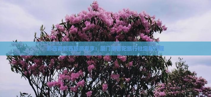 黔西南黔西旅游专享：厦门南普陀旅行社定制行程