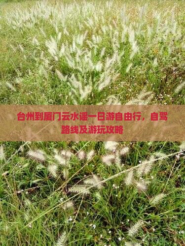 台州到厦门云水谣一日游自由行，自驾路线及游玩攻略