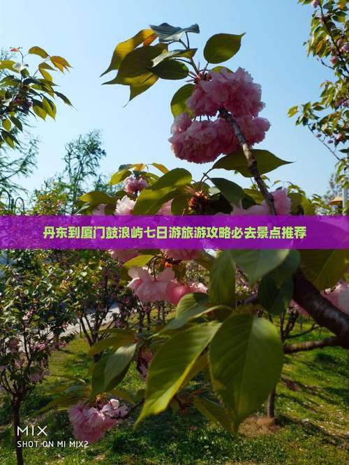 丹东到厦门鼓浪屿七日游旅游攻略必去景点推荐