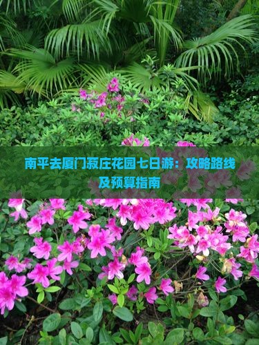 南平去厦门菽庄花园七日游：攻略路线及预算指南