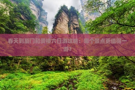 春天到厦门和贵楼六日游攻略：哪个景点更值得一游？