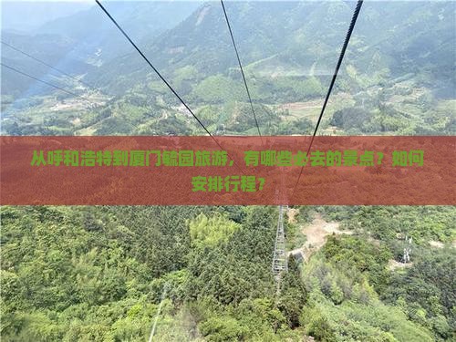 从呼和浩特到厦门毓园旅游，有哪些必去的景点？如何安排行程？