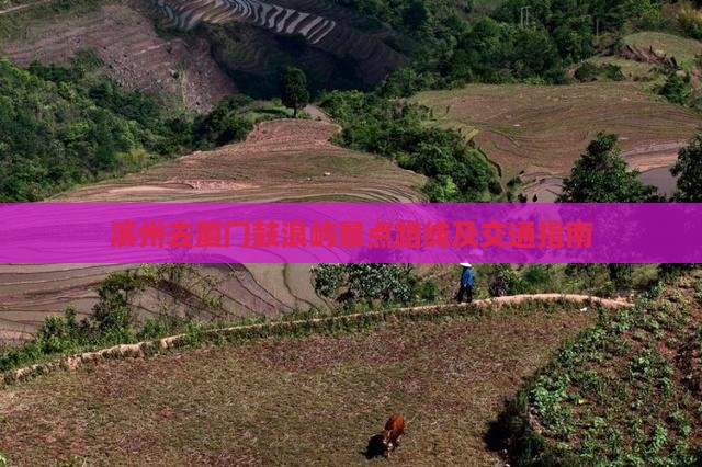 滨州去厦门鼓浪屿景点路线及交通指南