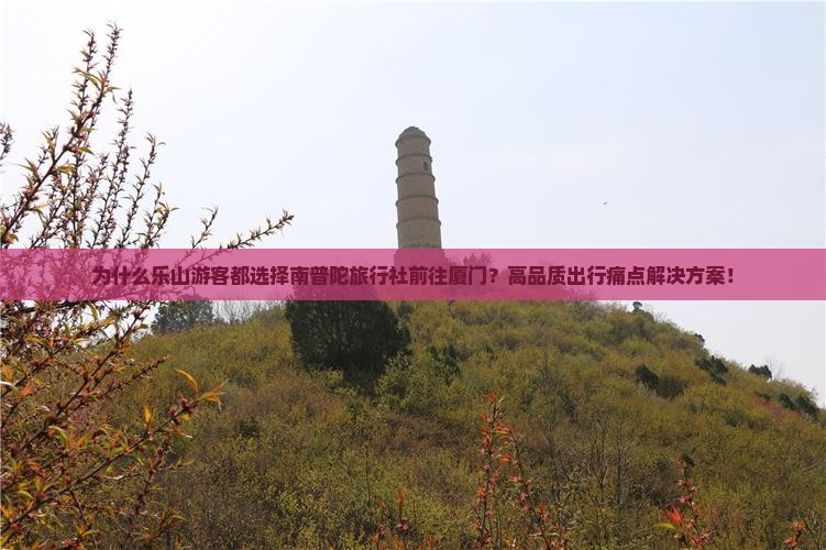 为什么乐山游客都选择南普陀旅行社前往厦门？高品质出行痛点解决方案！