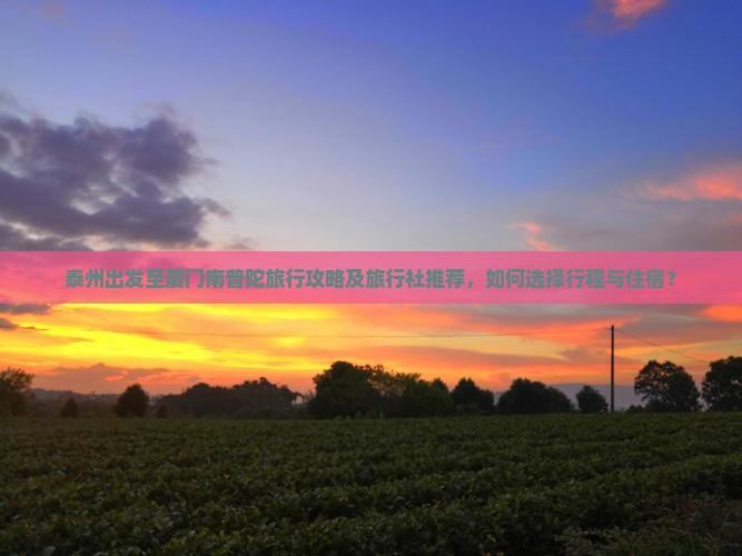 泰州出发至厦门南普陀旅行攻略及旅行社推荐，如何选择行程与住宿？