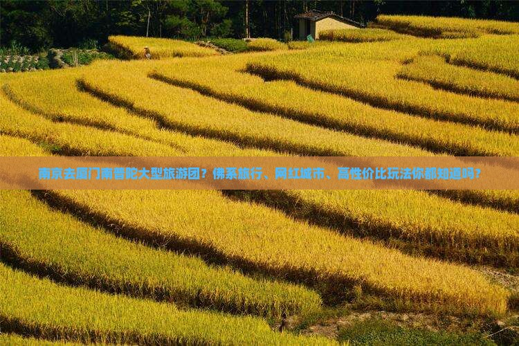 南京去厦门南普陀大型旅游团？佛系旅行、网红城市、高性价比玩法你都知道吗？