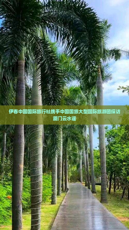 伊春中国国际旅行社携手中国国旅大型国际旅游团探访厦门云水谣