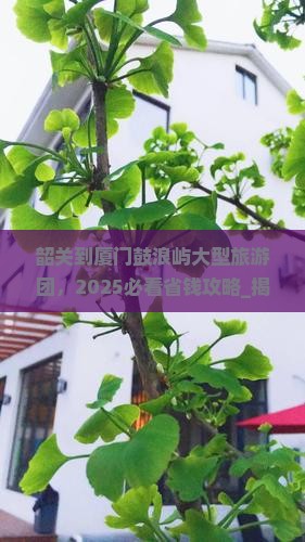 韶关到厦门鼓浪屿大型旅游团