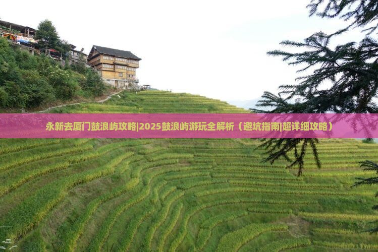 永新去厦门鼓浪屿攻略