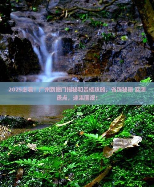 广州到厦门和贵楼攻略