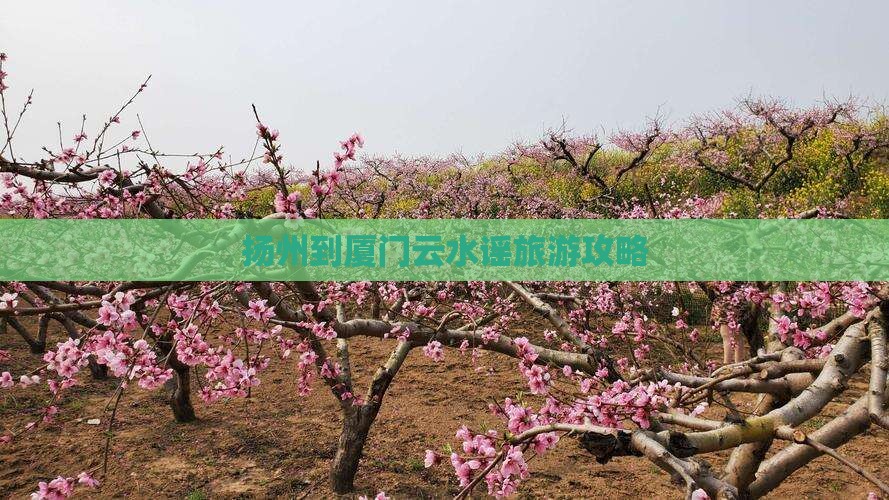 扬州到厦门云水谣攻略