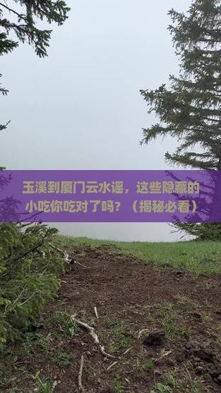 玉溪到厦门云水谣旅游小吃