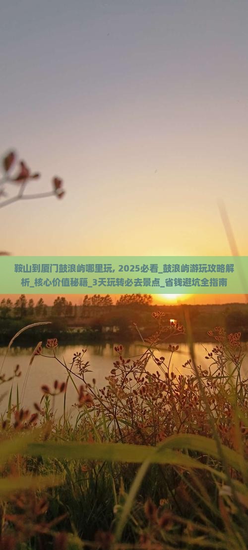 鞍山到厦门鼓浪屿哪里玩