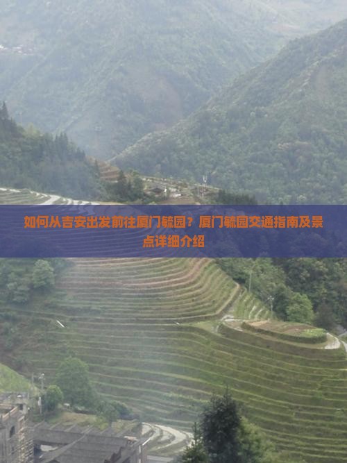 如何从吉安出发前往厦门毓园？厦门毓园交通指南及景点详细介绍
