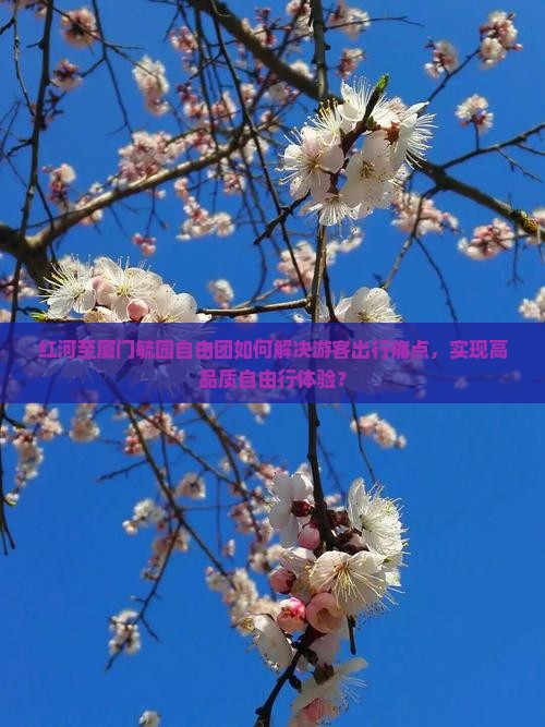 红河至厦门毓园自由团如何解决游客出行痛点，实现高品质自由行体验？