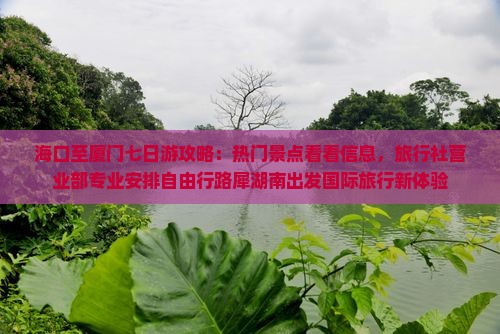海口至厦门七日游攻略：热门景点看看信息，旅行社营业部专业安排自由行路犀湖南出发国际旅行新体验