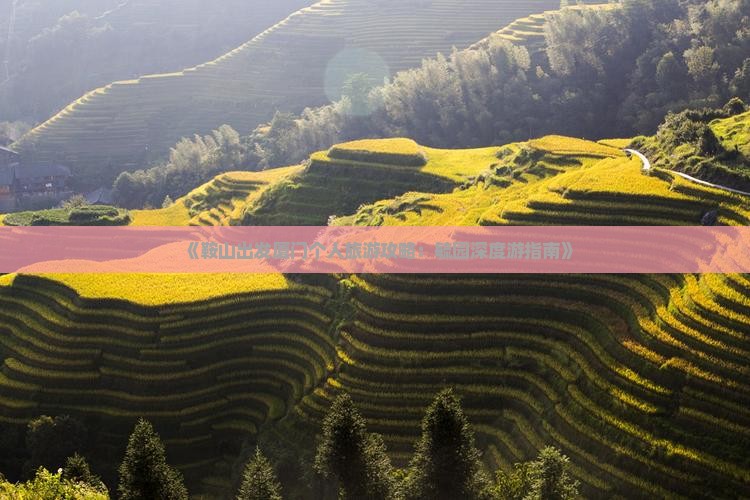 《鞍山出发厦门个人旅游攻略：毓园深度游指南》