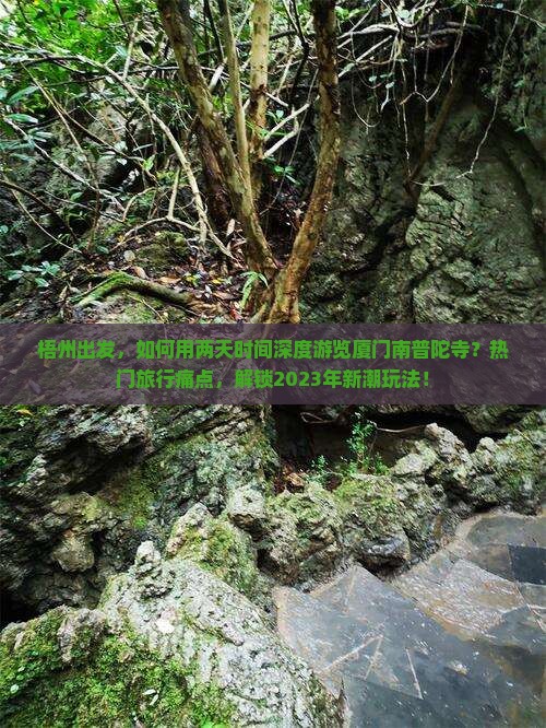梧州出发，如何用两天时间深度游览厦门南普陀寺？热门旅行痛点，解锁2023年新潮玩法！