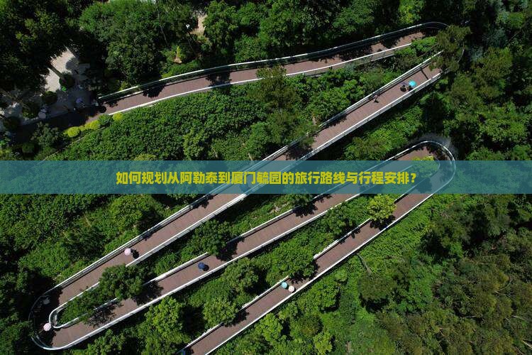 如何规划从阿勒泰到厦门毓园的旅行路线与行程安排？