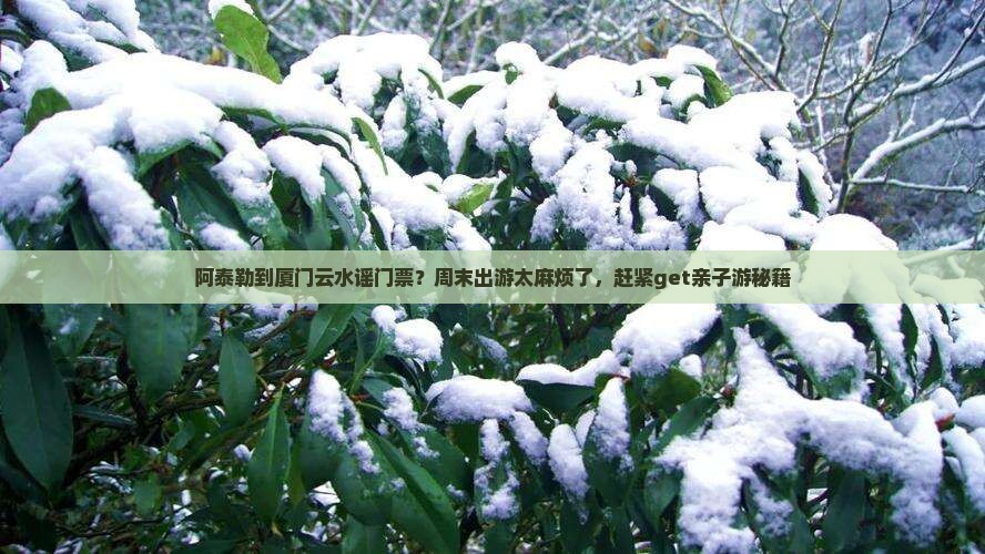 阿泰勒到厦门云水谣门票？周末出游太麻烦了，赶紧get亲子游秘籍