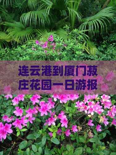 连云港到厦门菽庄花园一日游报价及路线指南