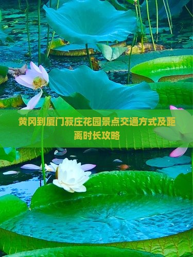 黄冈到厦门菽庄花园景点交通方式及距离时长攻略