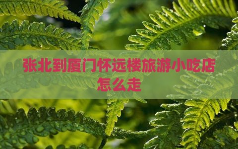 张北到厦门怀远楼旅游小吃店怎么走