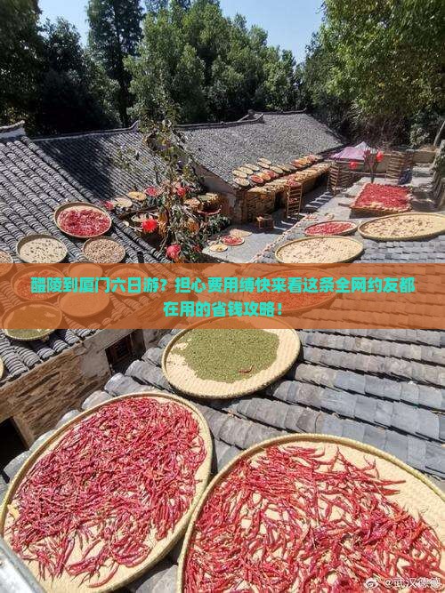 醴陵到厦门六日游？担心费用缚快来看这条全网约友都在用的省钱攻略！