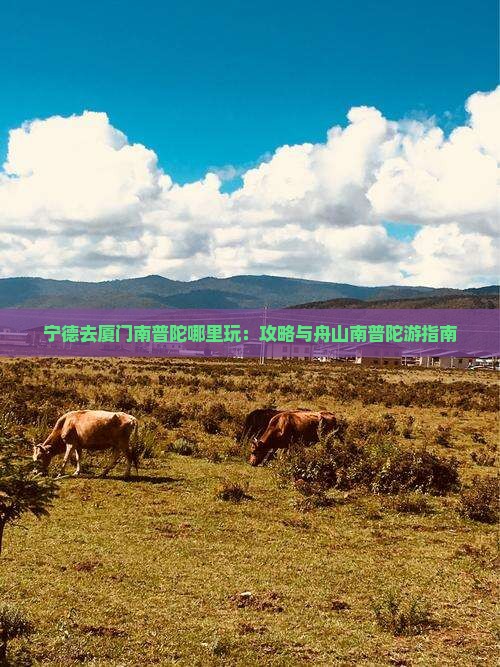 宁德去厦门南普陀哪里玩：攻略与舟山南普陀游指南