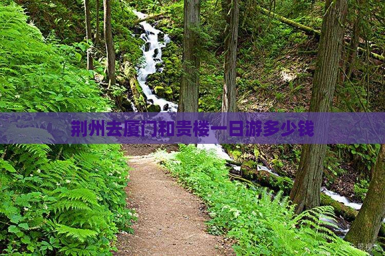 荆州去厦门和贵楼一日游多少钱