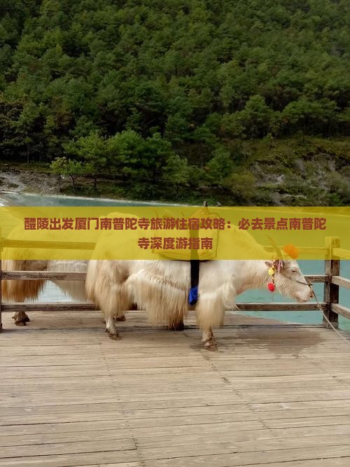 醴陵出发厦门南普陀寺旅游住宿攻略：必去景点南普陀寺深度游指南