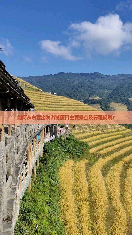 如何从东营出发游览厦门主要景点及行程规划？
